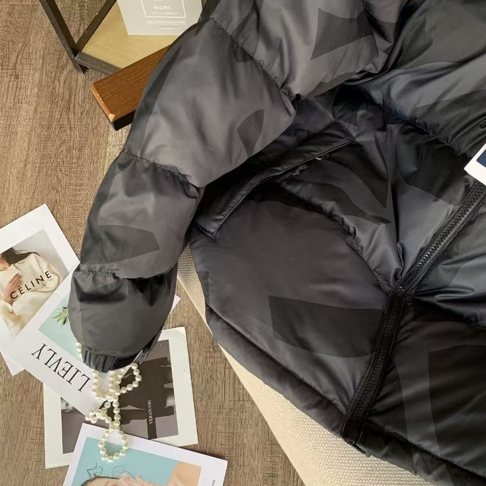 THE NORTH FACE  ザ・ノース・フェイス  ダウンジャケット