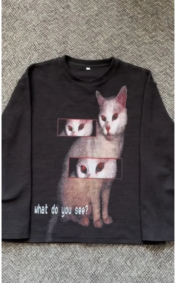 Cross-Border European and American Independent Store Hot-Selling Women's Hoodie Pet Puppy 3D Print Shirt Animal Footprints Factory Custom