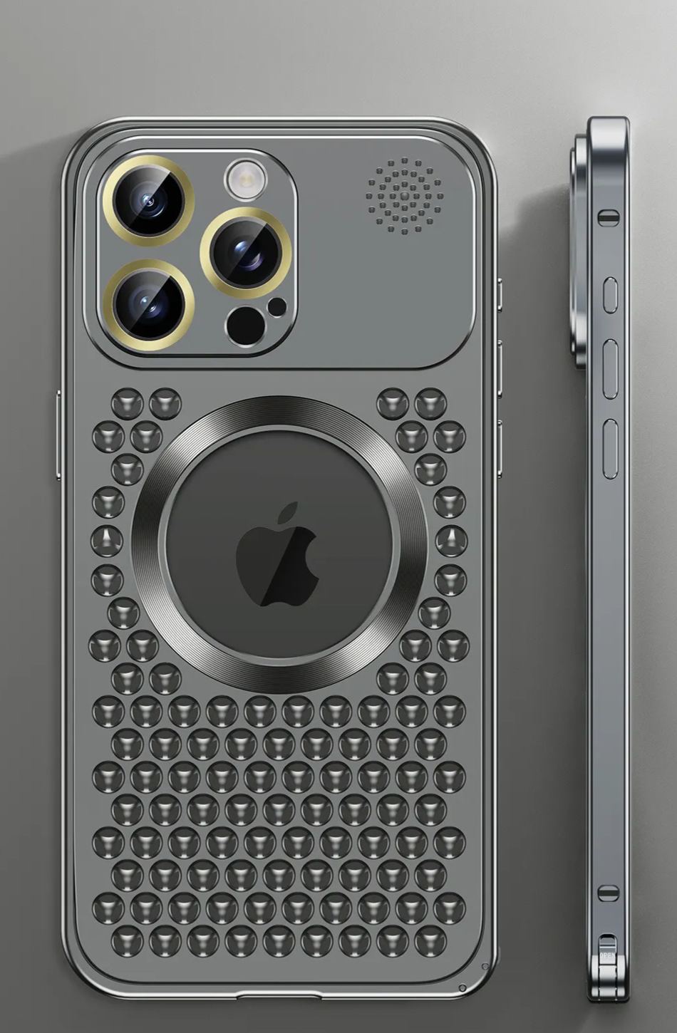 Apple Buckle Case