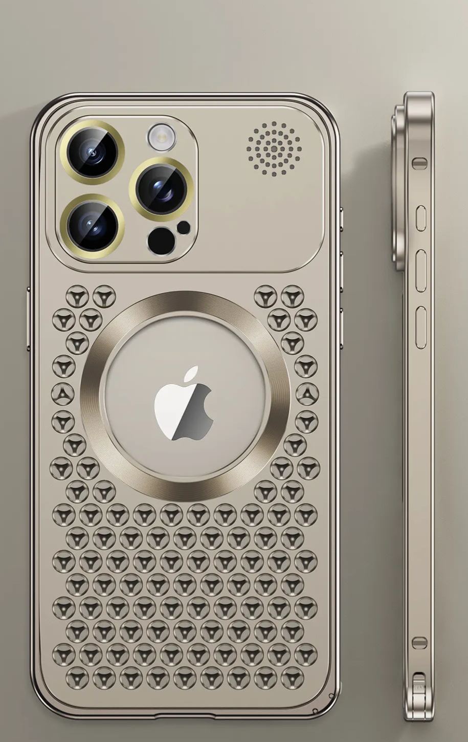 Apple Buckle Case