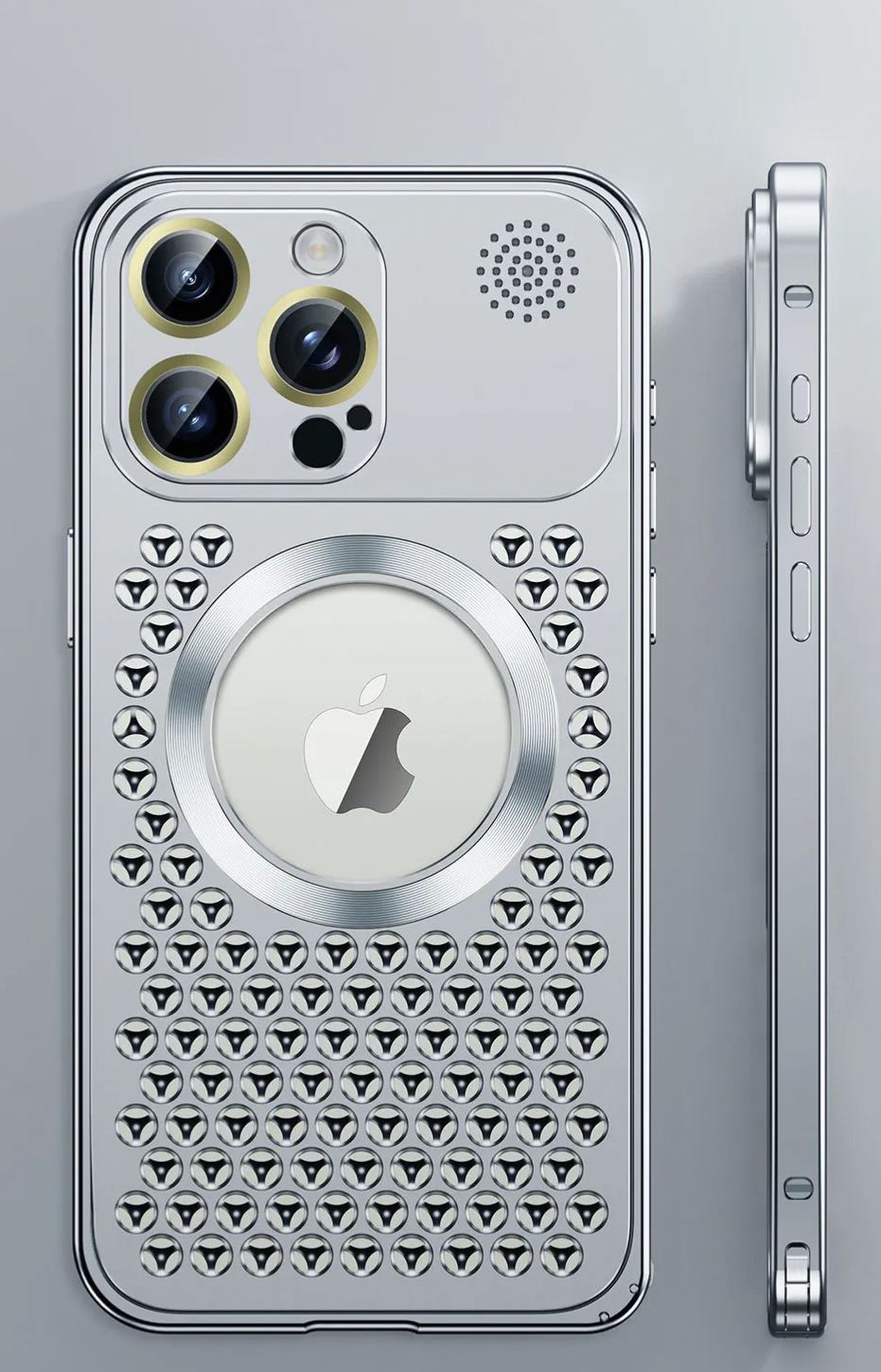 Apple Buckle Case