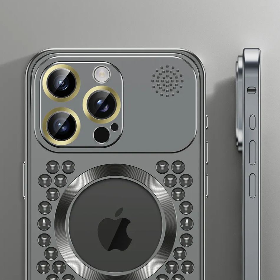Apple Buckle Case