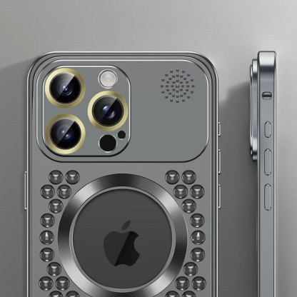 Apple Buckle Case