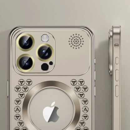 Apple Buckle Case