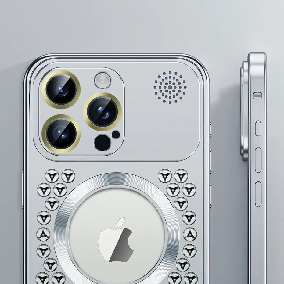 Apple Buckle Case