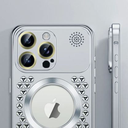 Apple Buckle Case