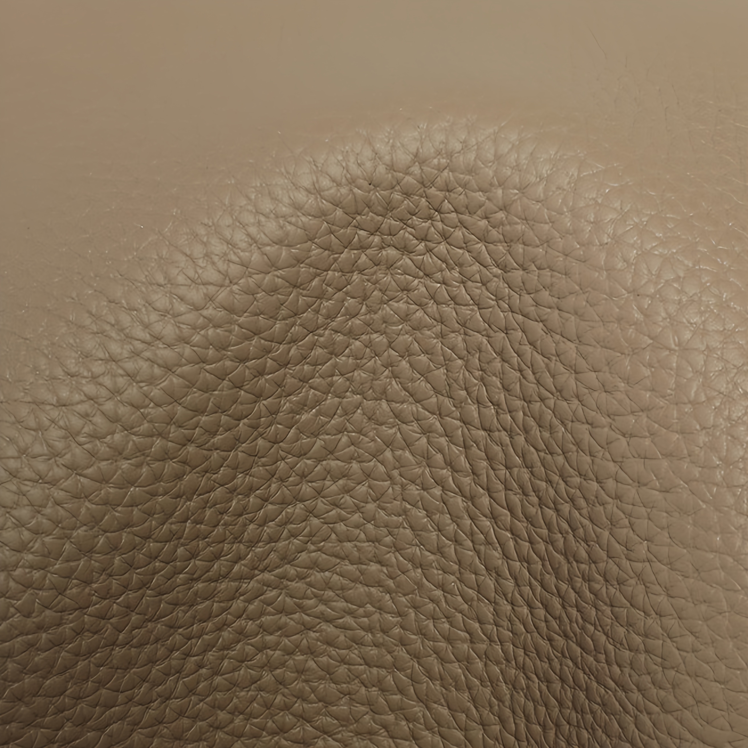 精緻な金具手提げバッグ|牛革ハンドバッグ|牛革ショルダーバッグ