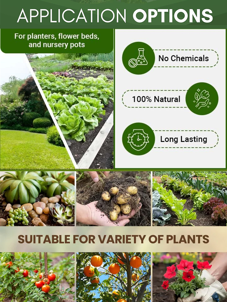 Plant fertilizer enhancer