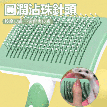宠物針梳 