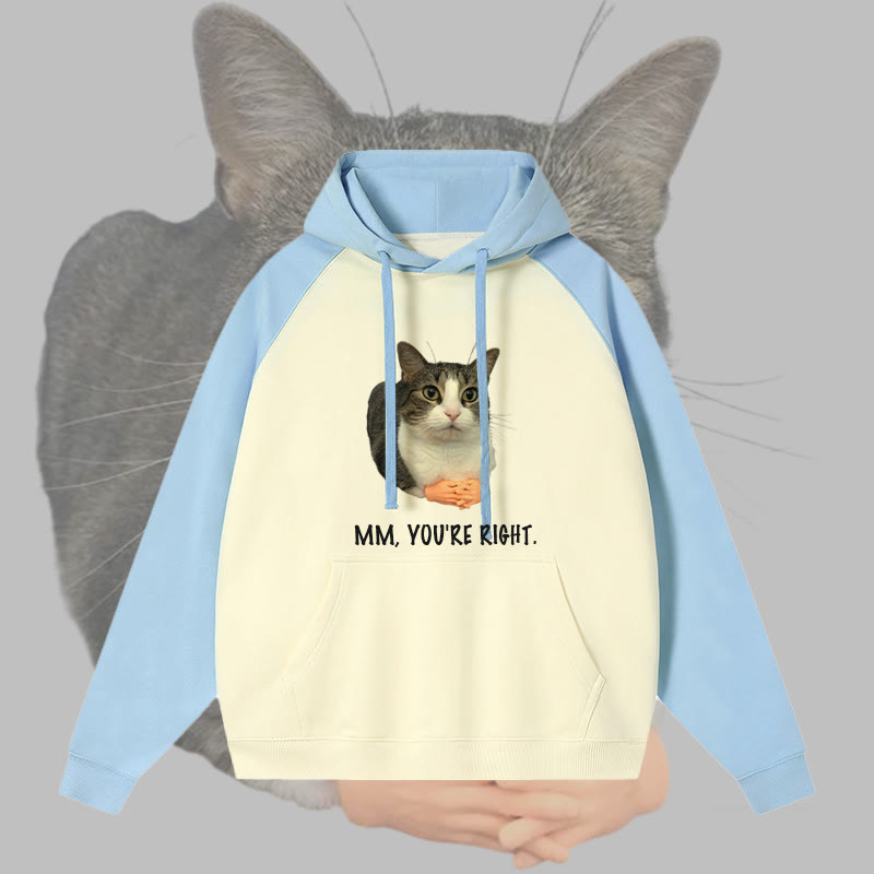 MM YOU'RE RIGHT キャットグラフィック ストリートウェアカラーブロック パーカー - Blue - 3XL - image 1