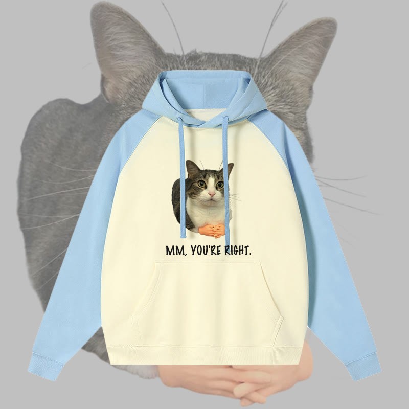 MM YOU'RE RIGHT キャットグラフィック ストリートウェアカラーブロック パーカー - Blue - 3XL - image 1
