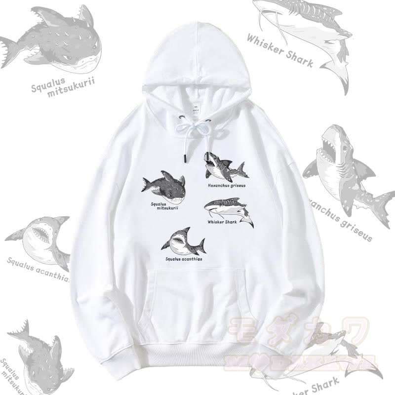 MODAKAWA サメの種グラフィック ストリートウェア プルオーバー パーカー - 白 - 5XL - image 3