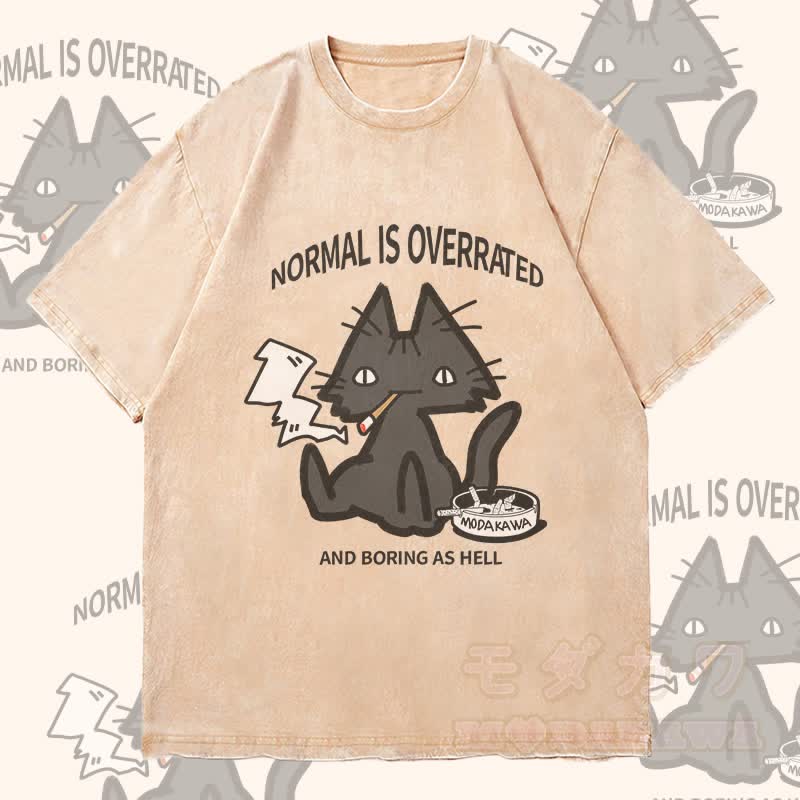 MODAKAWA NORMAL IS OVERRATED スモーキングキャットグラフィック ユニセックス ヴィンテージウォッシュTシャツ - アプリコット - 4XL - image 2