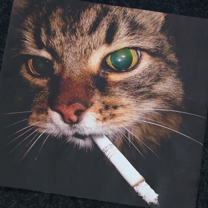 スモーキングキャットグラフィック ユニセックス ヴィンテージ ウォッシュドTシャツ - image 2