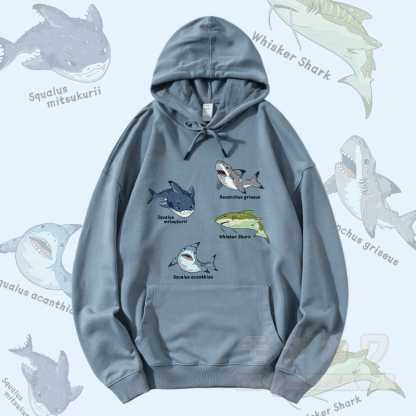 MODAKAWA サメの種グラフィック ストリートウェア プルオーバー パーカー - ダスティブルー - 5XL - image 3