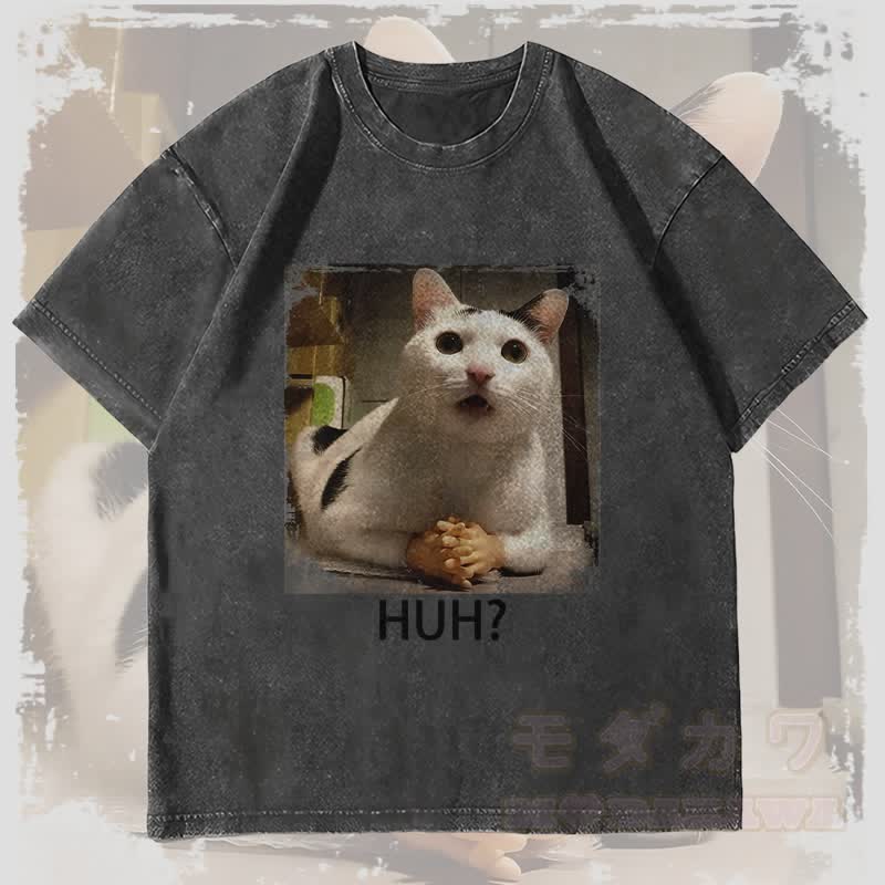 MODAKAWA HUH 混乱猫グラフィック ユニセックス ヴィンテージ ウォッシュド Tシャツ - 黒 - 4XL - image 4