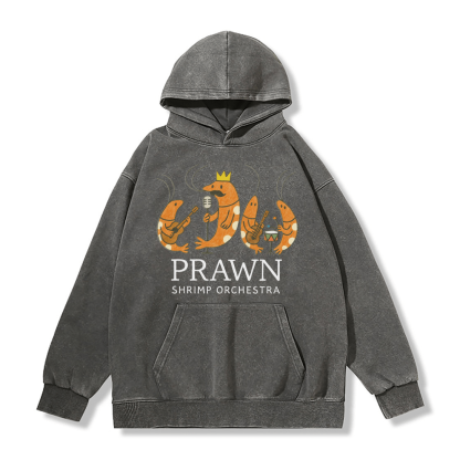PRAWN SHRIMP ORCHESTRA ユニセックス ヴィンテージウォッシュドフーディー バンドグラフィックプルオーバー - Grey - 2XL - image 5