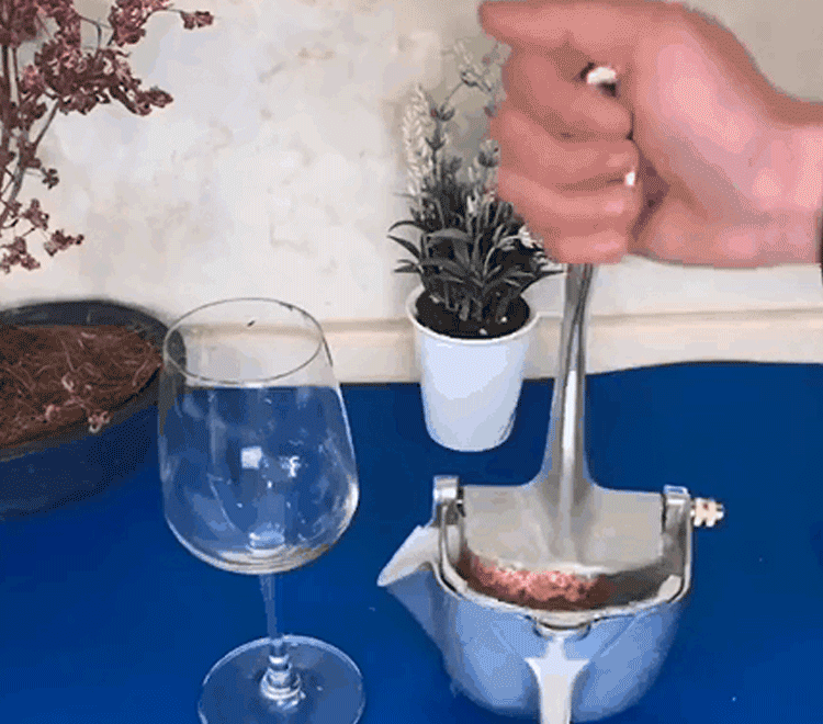 Home Manual Hand Juicer