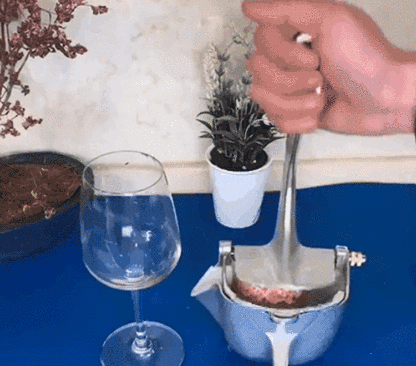 Home Manual Hand Juicer
