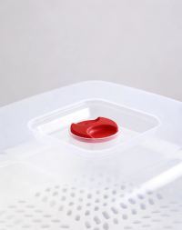 Microwave Oven Steamer