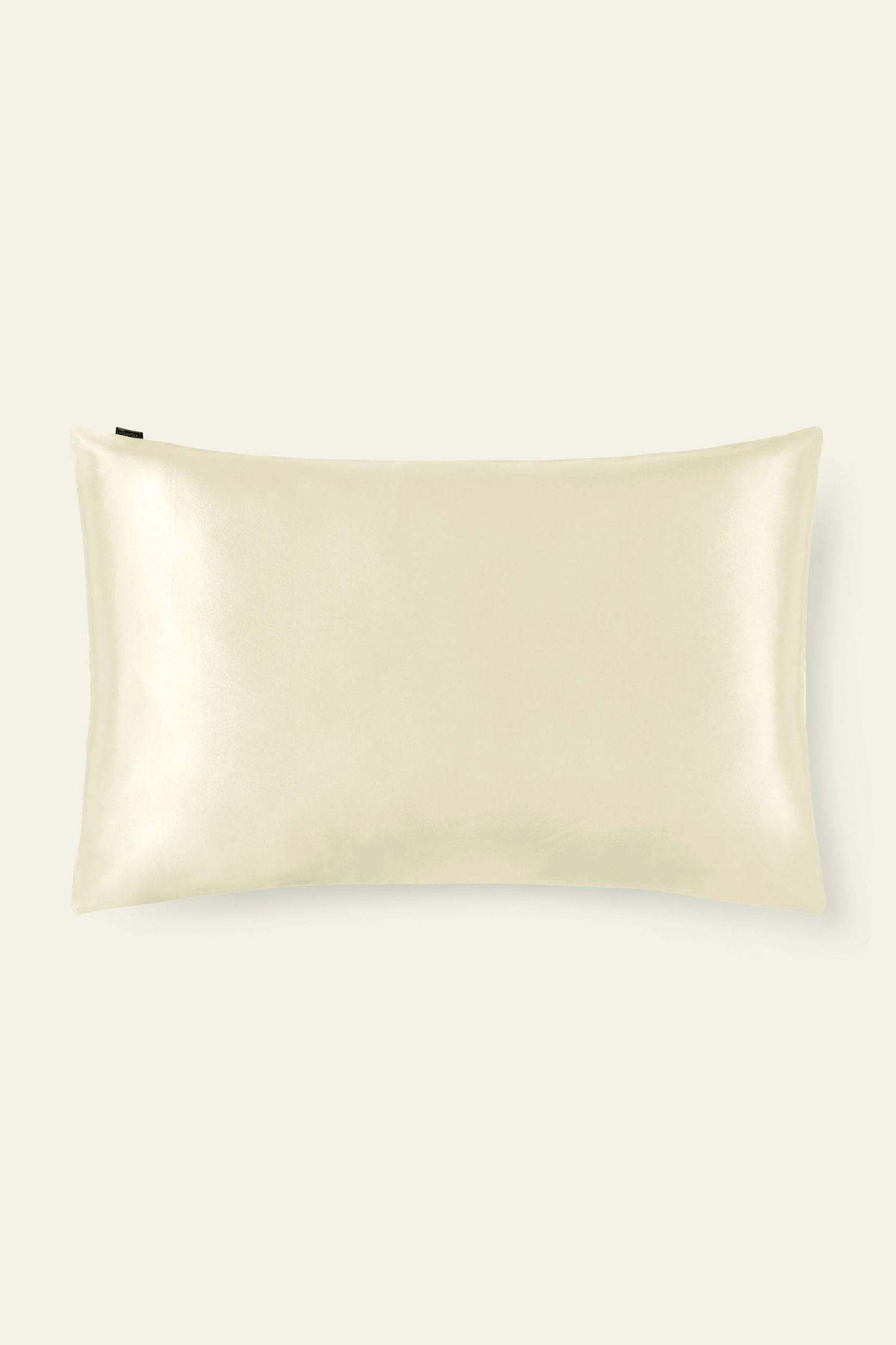 19 Momme Terse Envelope Silk Pillowcase