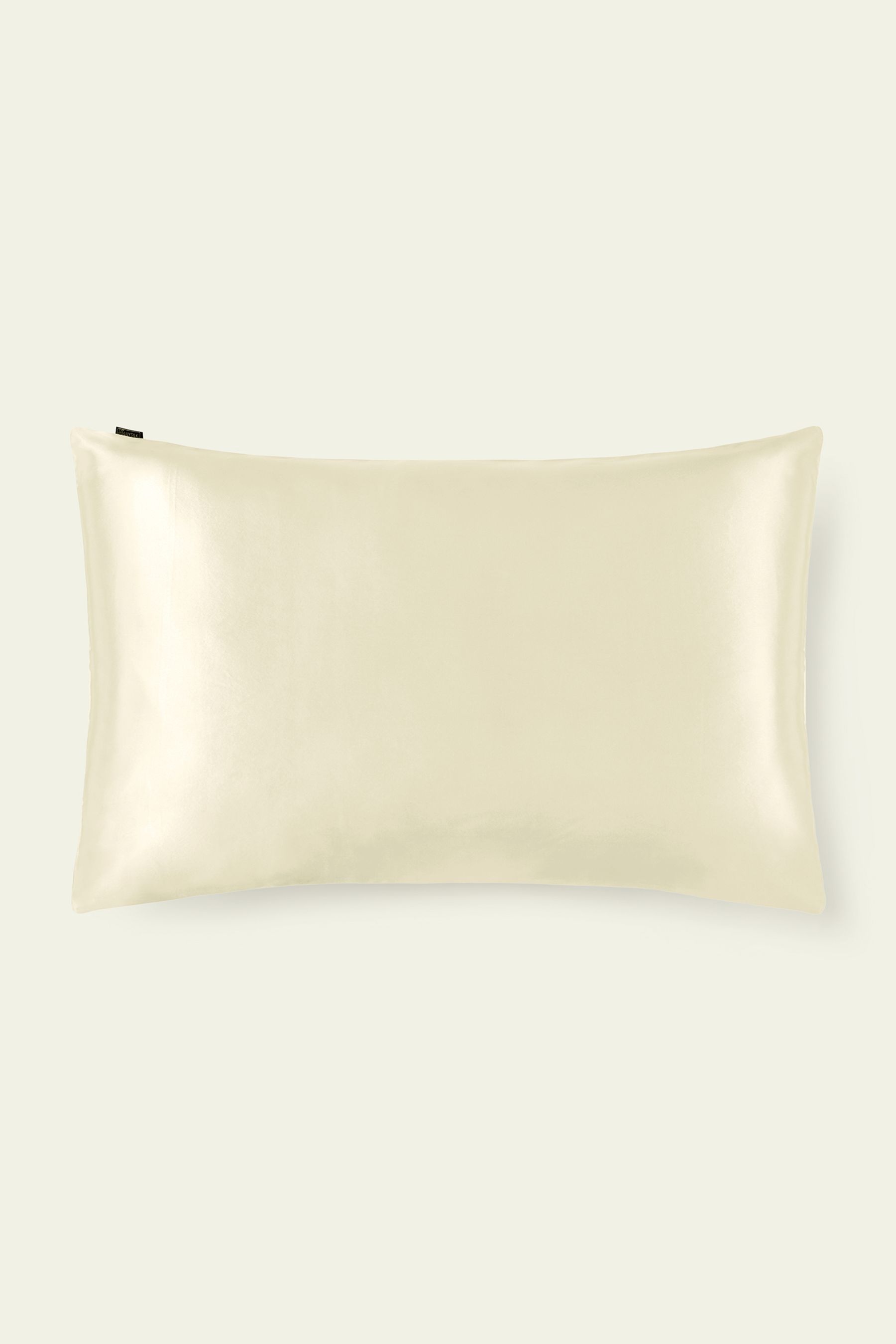 19 Momme Terse Envelope Silk Pillowcase