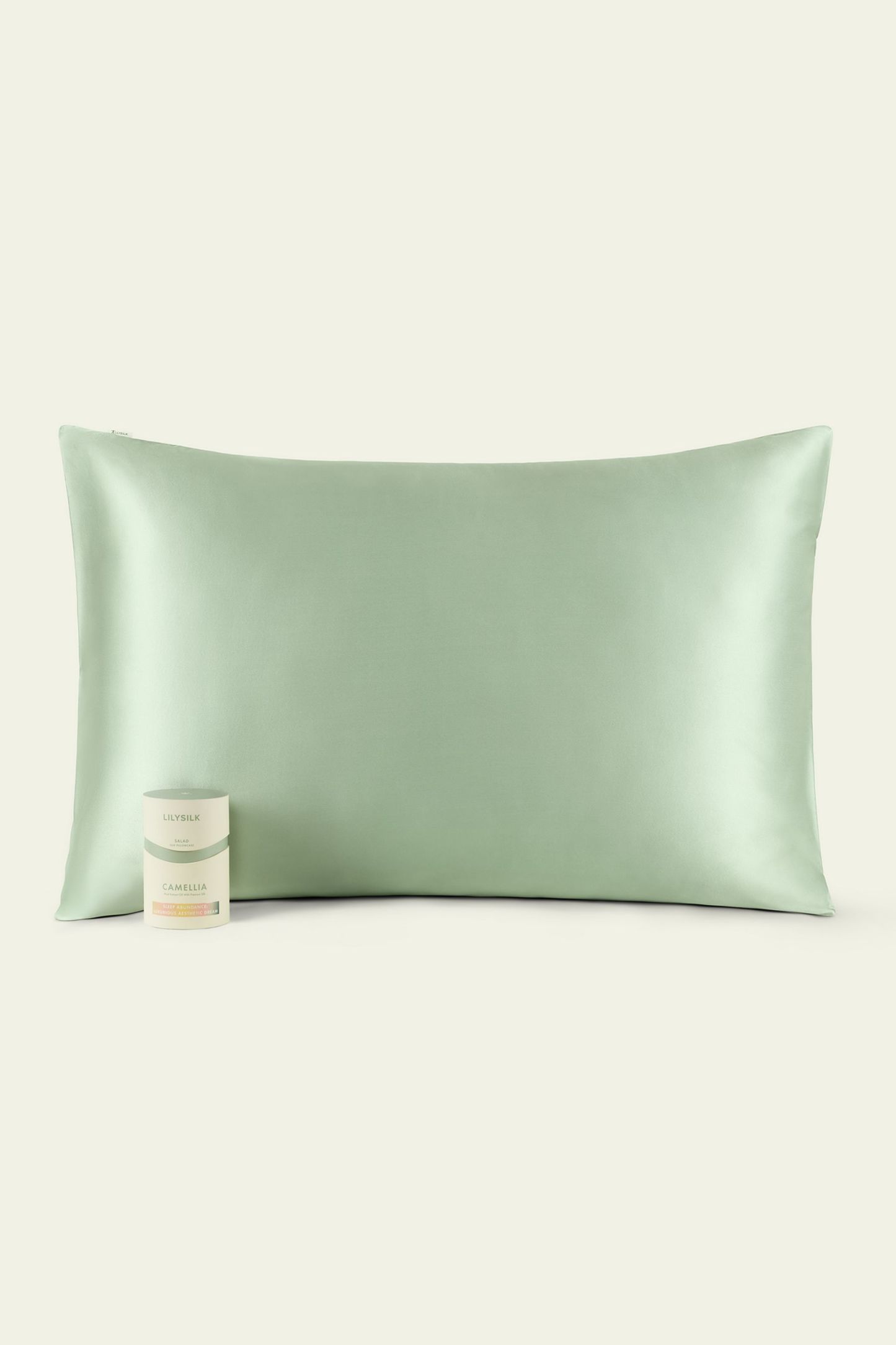 #color_Pale-Turquoise