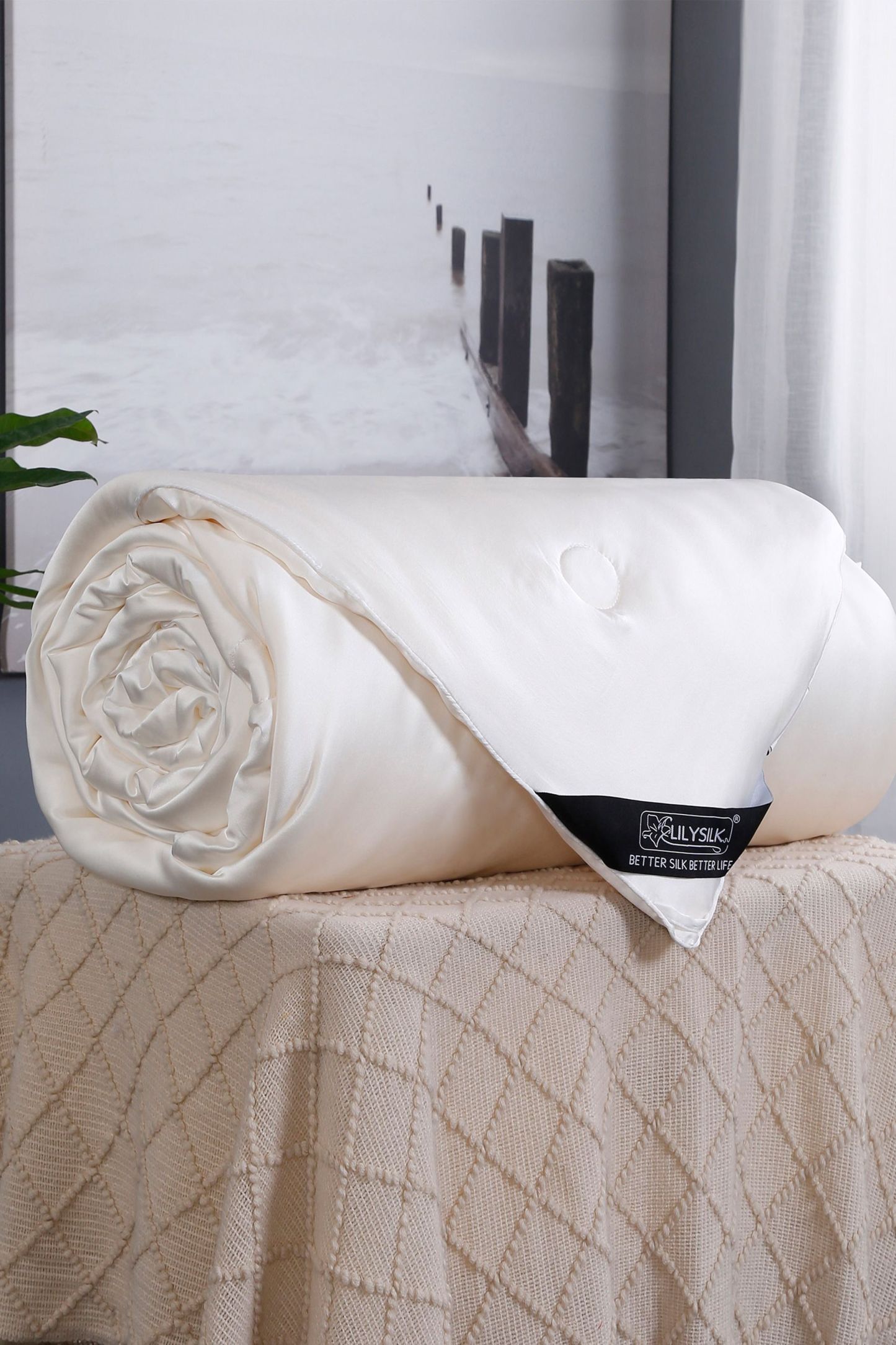 #color_White (Silk-Covered)