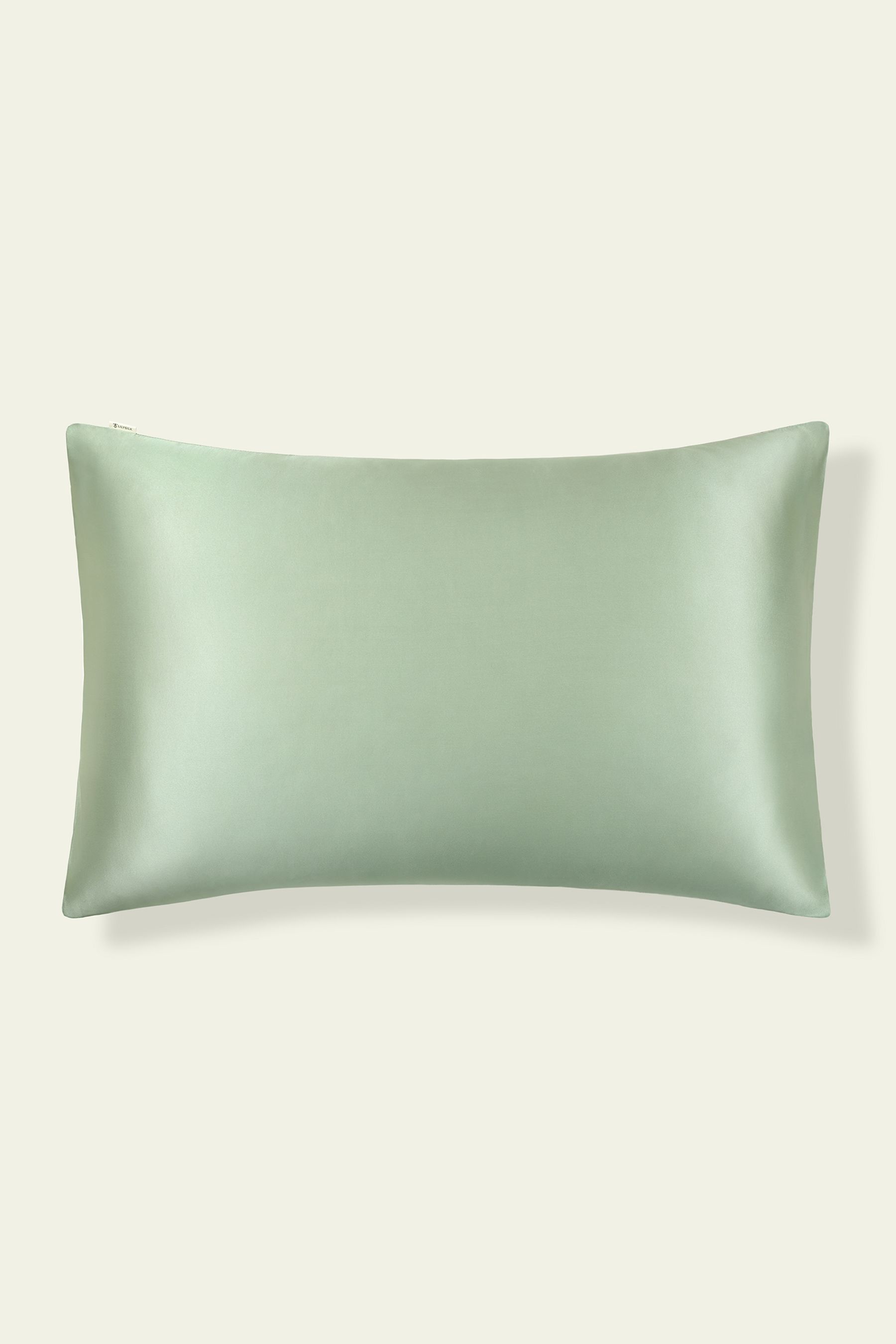 #color_Pale-Turquoise