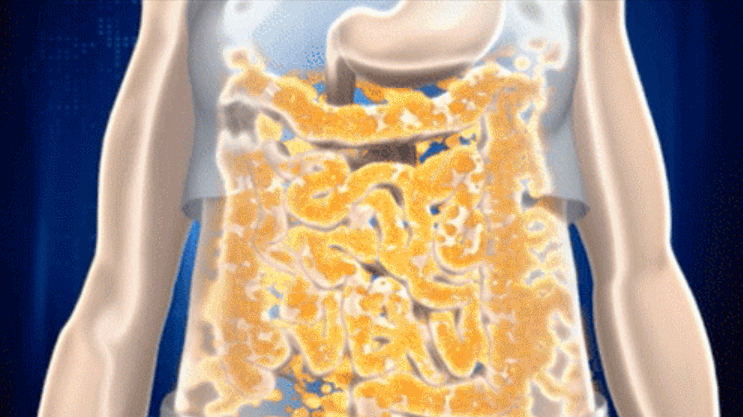 1724832736169338.gif adb6efff-a580-461c-a1f9-3d5988a303b9.gif