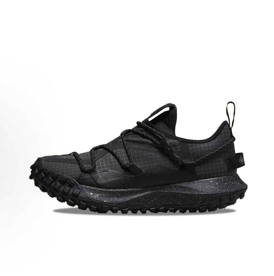 Nike ACG Mountain Fly Low GTX SE