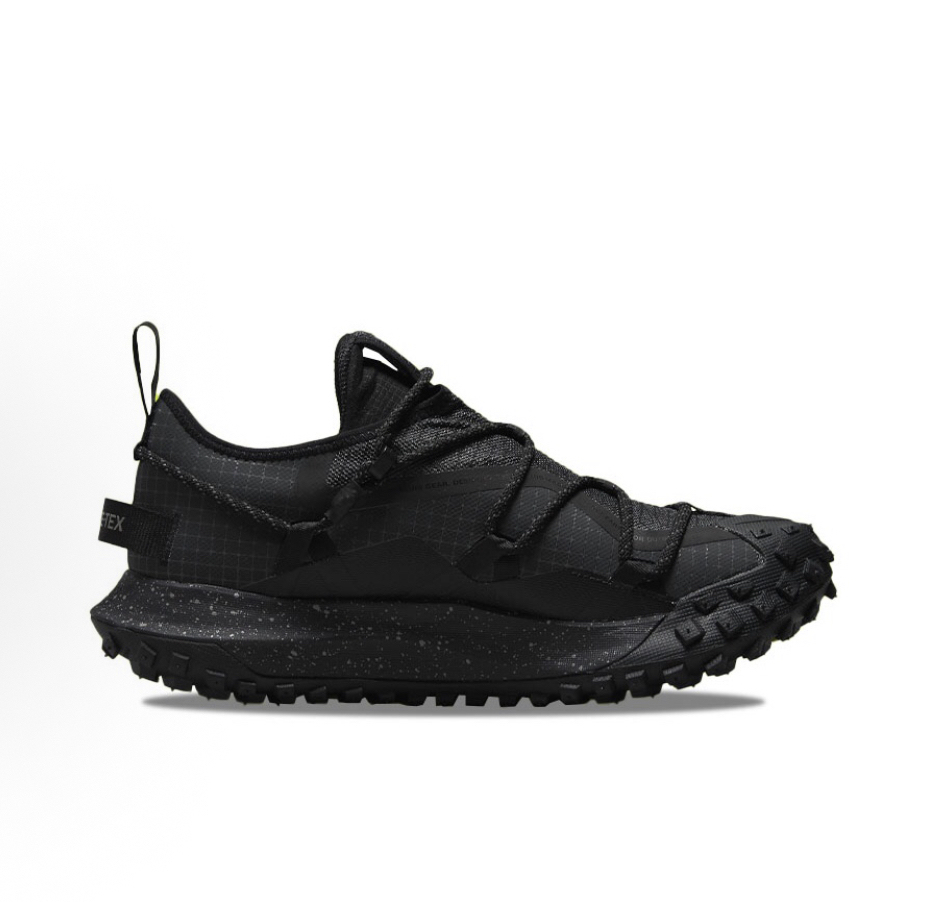 Nike ACG Mountain Fly Low GTX SE