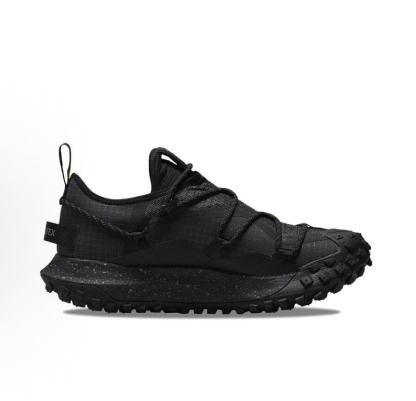 Nike ACG Mountain Fly Low GTX SE