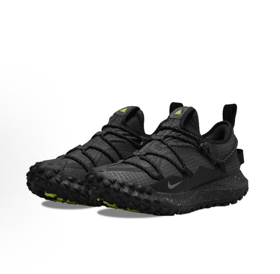 Nike ACG Mountain Fly Low GTX SE