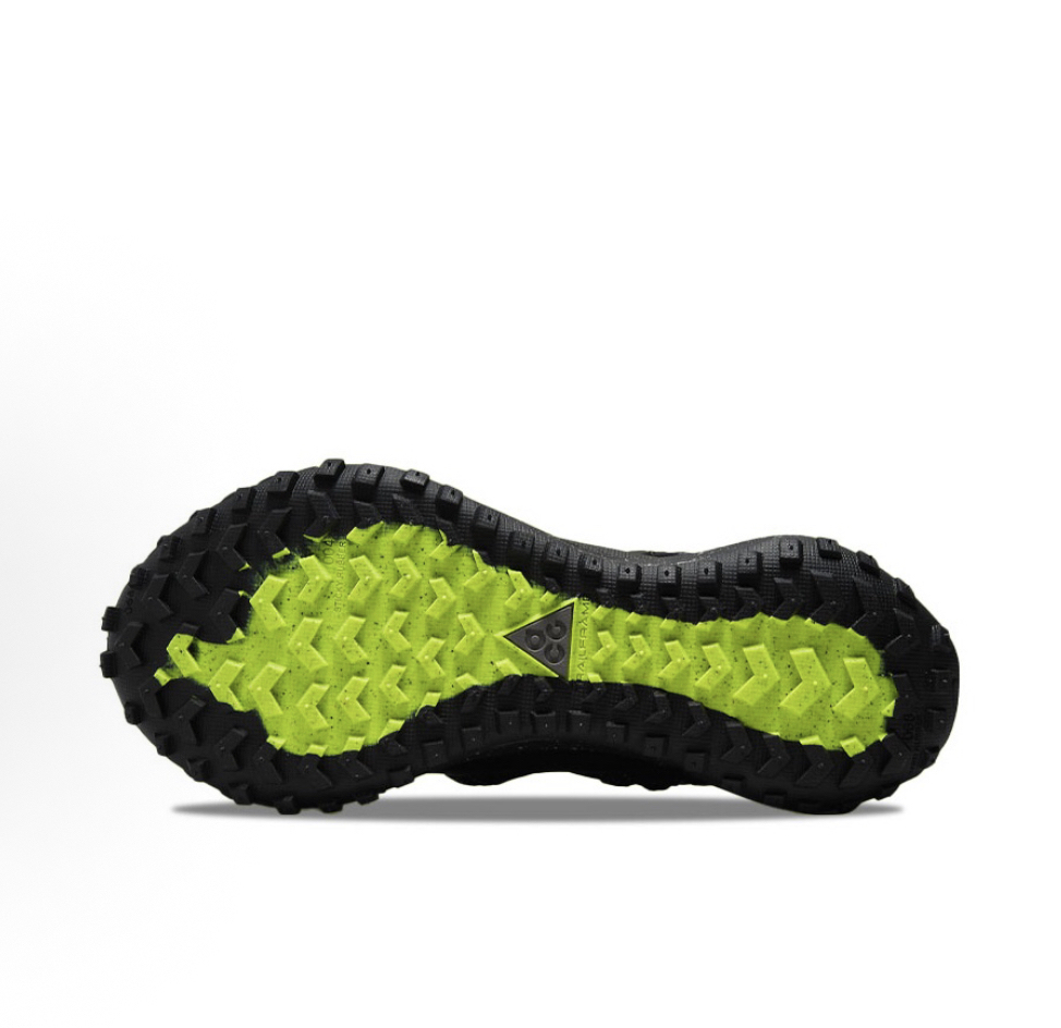 Nike ACG Mountain Fly Low GTX SE