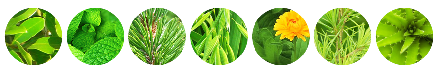 PARAKITO bite relief ingredients