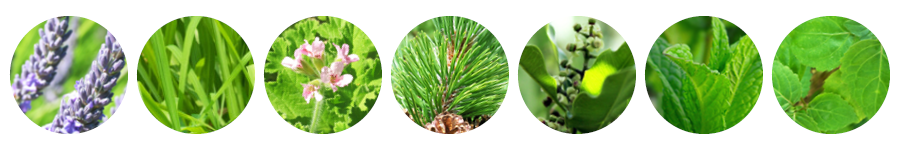 parakito pellet refill ingredients