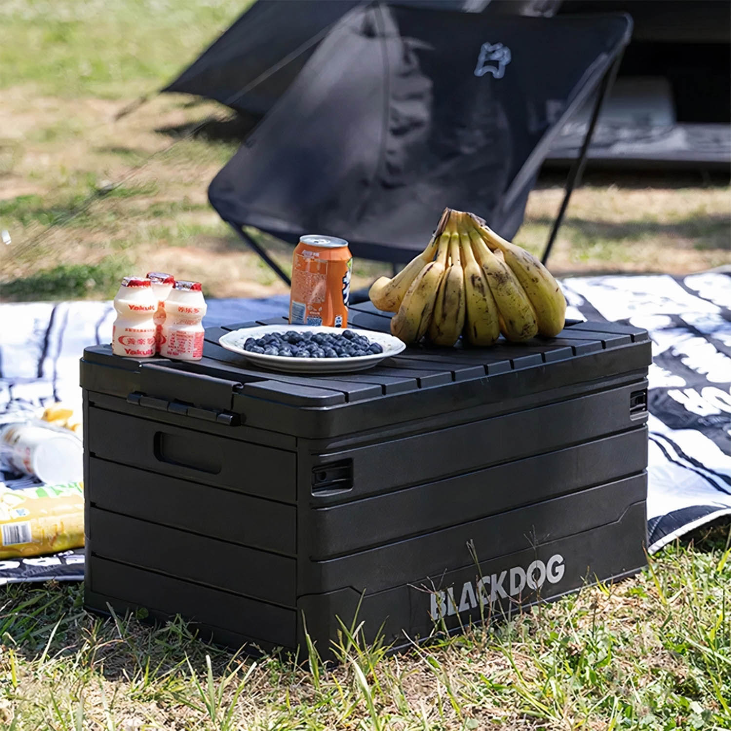 BLACKDOG 60L Folding Storage Box