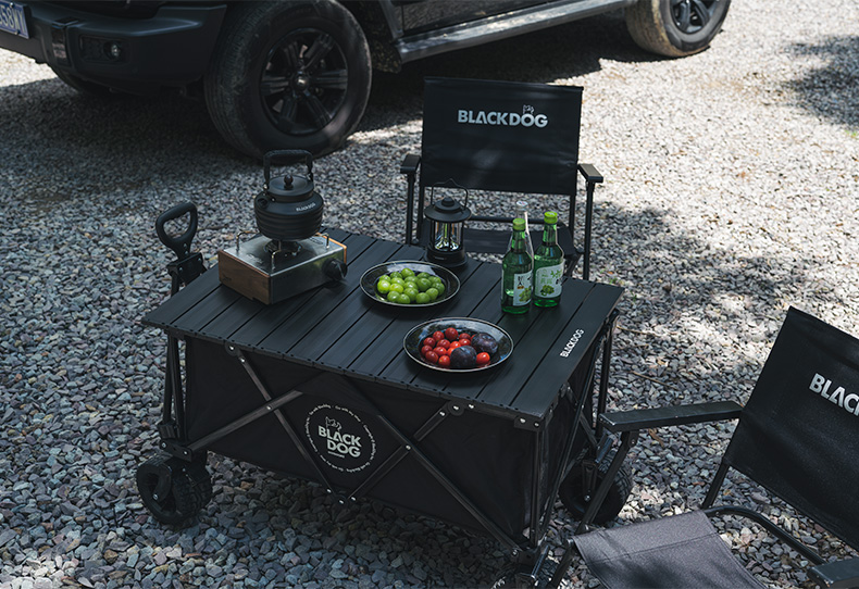 BLACKDOG 4-Way Foldable Cart