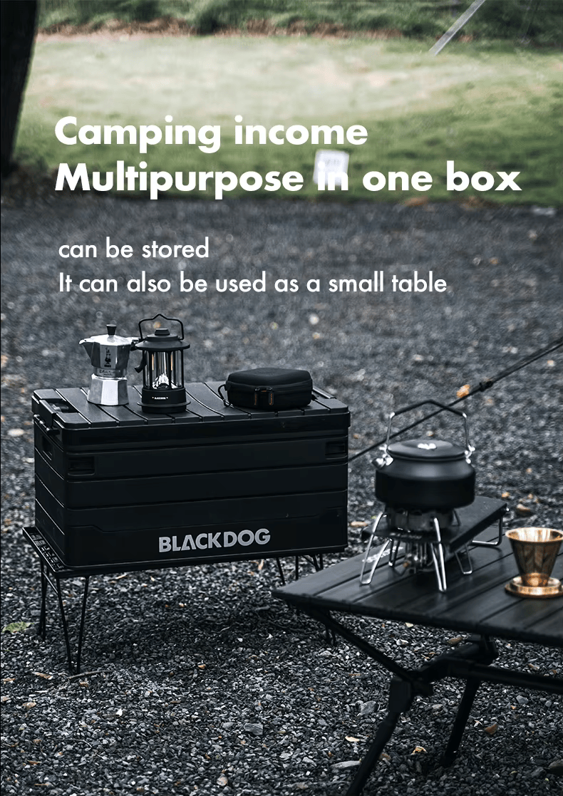 BLACKDOG 60L Folding Storage Box