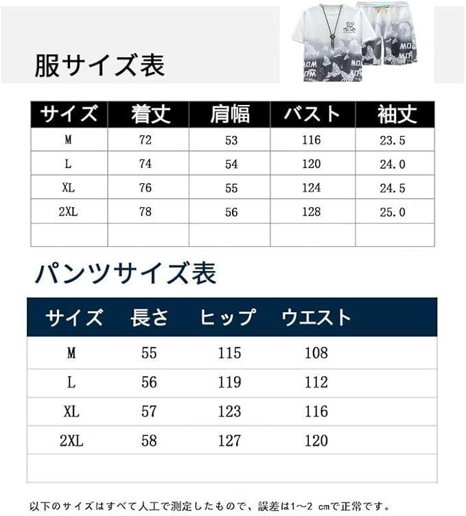 ジャージ 夏服メンズ 上下セット 半袖 上下2点セットプリントtシャツ メンズ 半袖 吸汗速乾 カジュアル 運動着 夏 部屋着ゆったり 軽量 おしゃれ 夏服男女兼用