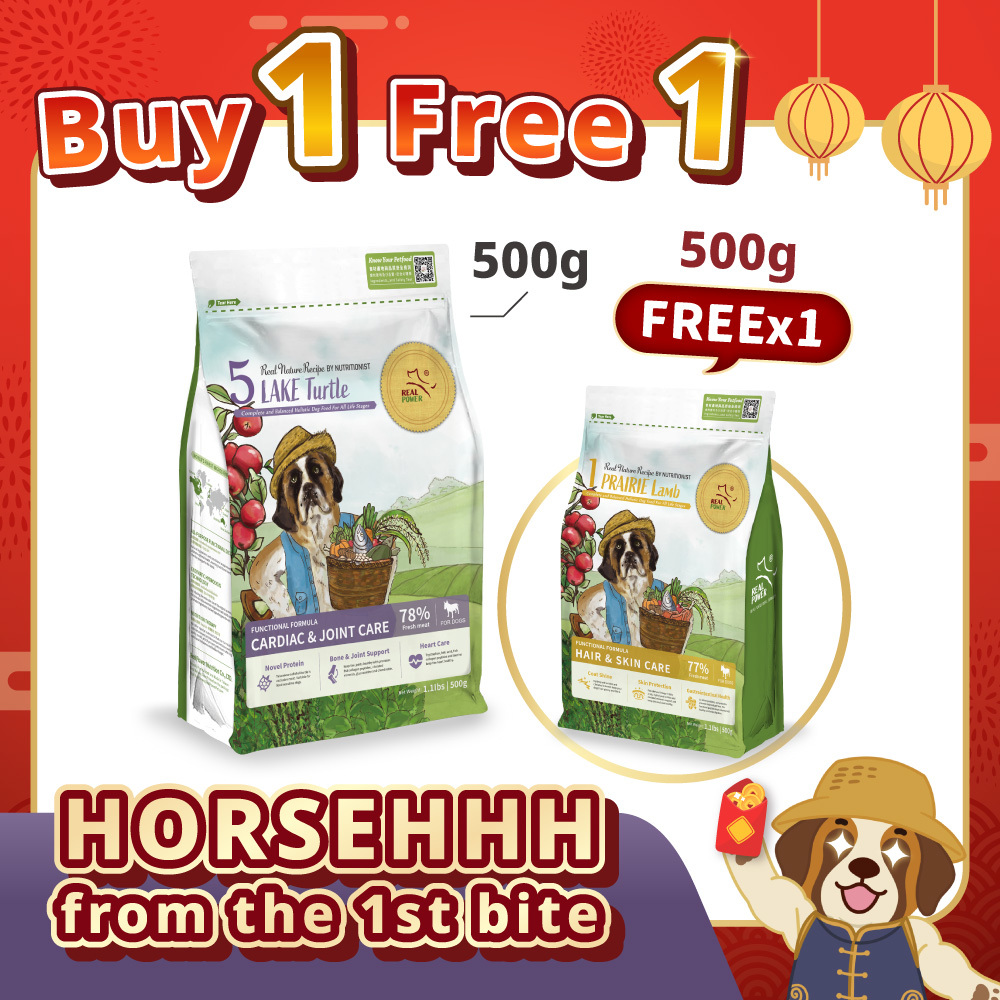 [DOG] BUY 1 FREE 1【No.5 LAKE Turtle】1kg Set