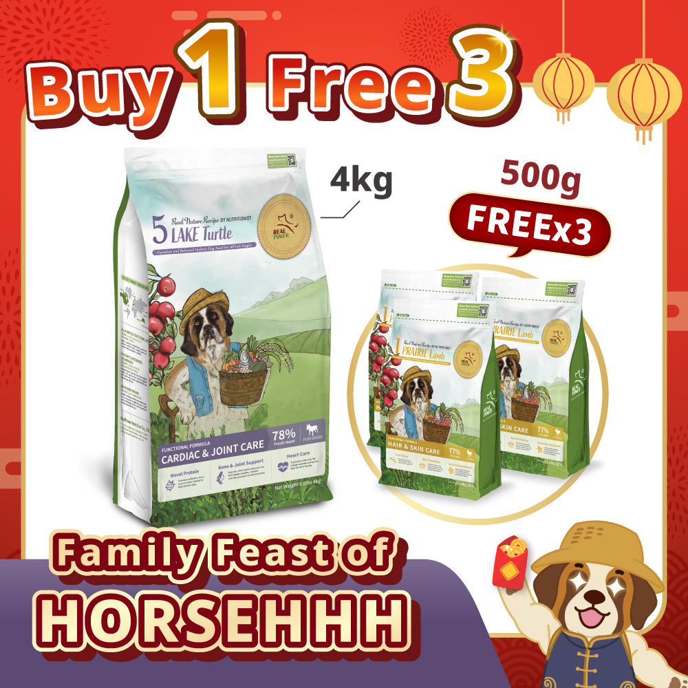 [DOG] BUY 1 FREE 3【No.5 LAKE Turtle】5.5kg Set