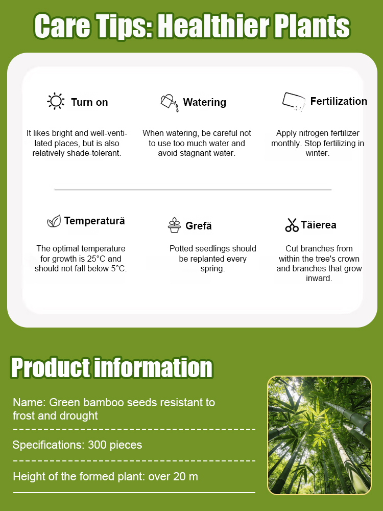 Cold-Resistant and Drought-Tolerant Green Bamboo Seeds for Air Purification