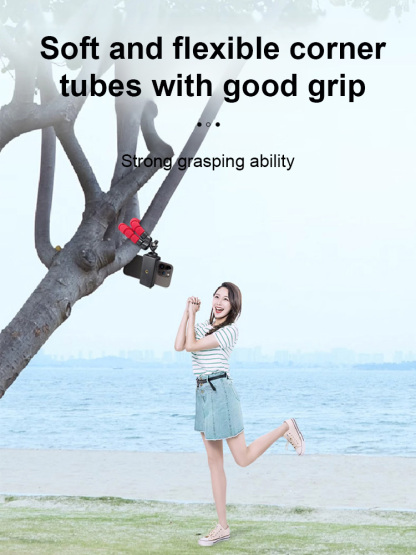 Multifunctional mobile phone holder