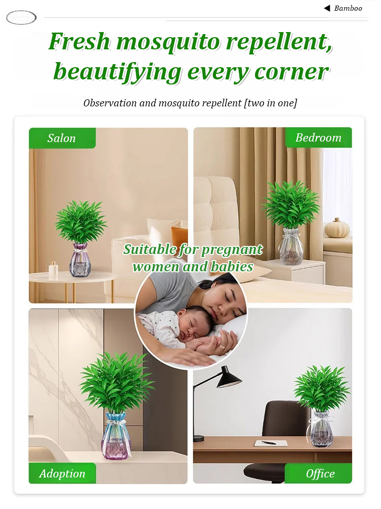 [Can survive with water] New bamboo cypress seeds