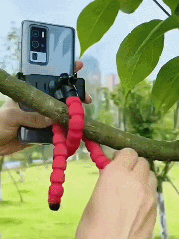 Multifunctional mobile phone holder