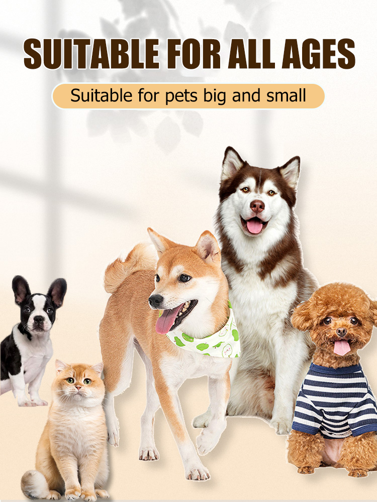 Pet communication button