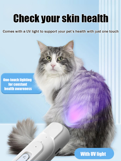 Rechargeable Foot Shaver