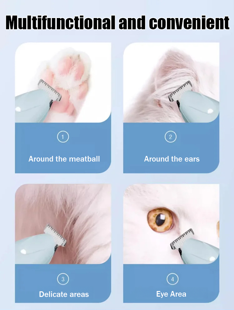 Rechargeable Foot Shaver